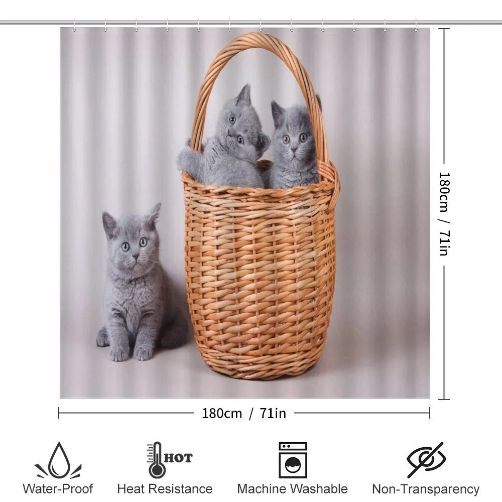British Cats in Basket — Detail 2