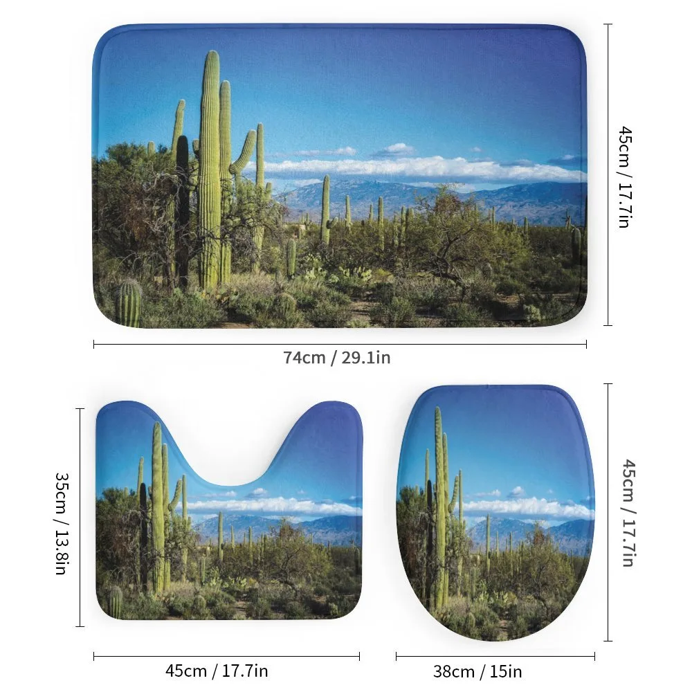 Tucson Countryside Cacti — Detail 1