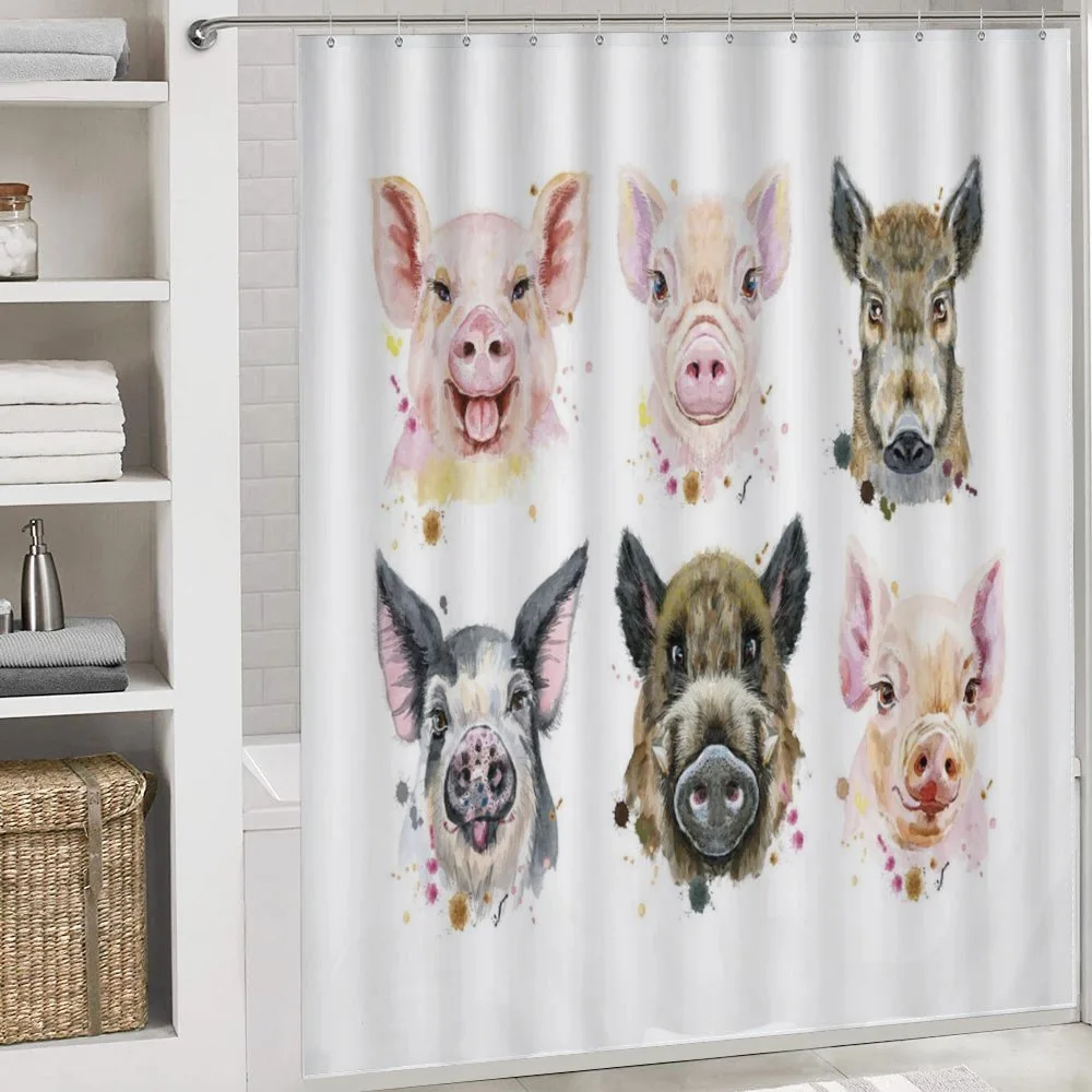 Breeds of Pig — Detail 4