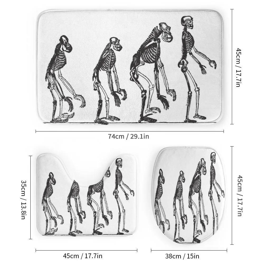 Evolution Theme Ape to Man — Detail 1