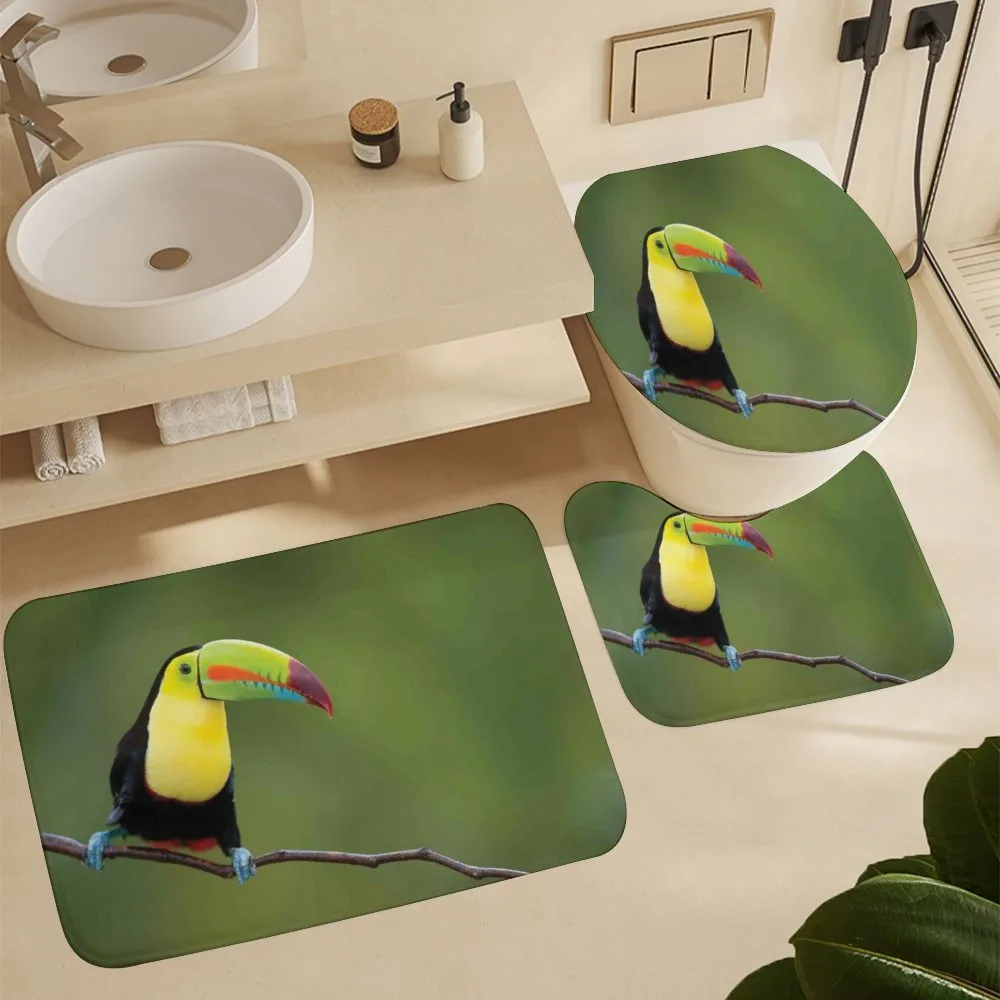 Keel Billed Toucan — Detail 5