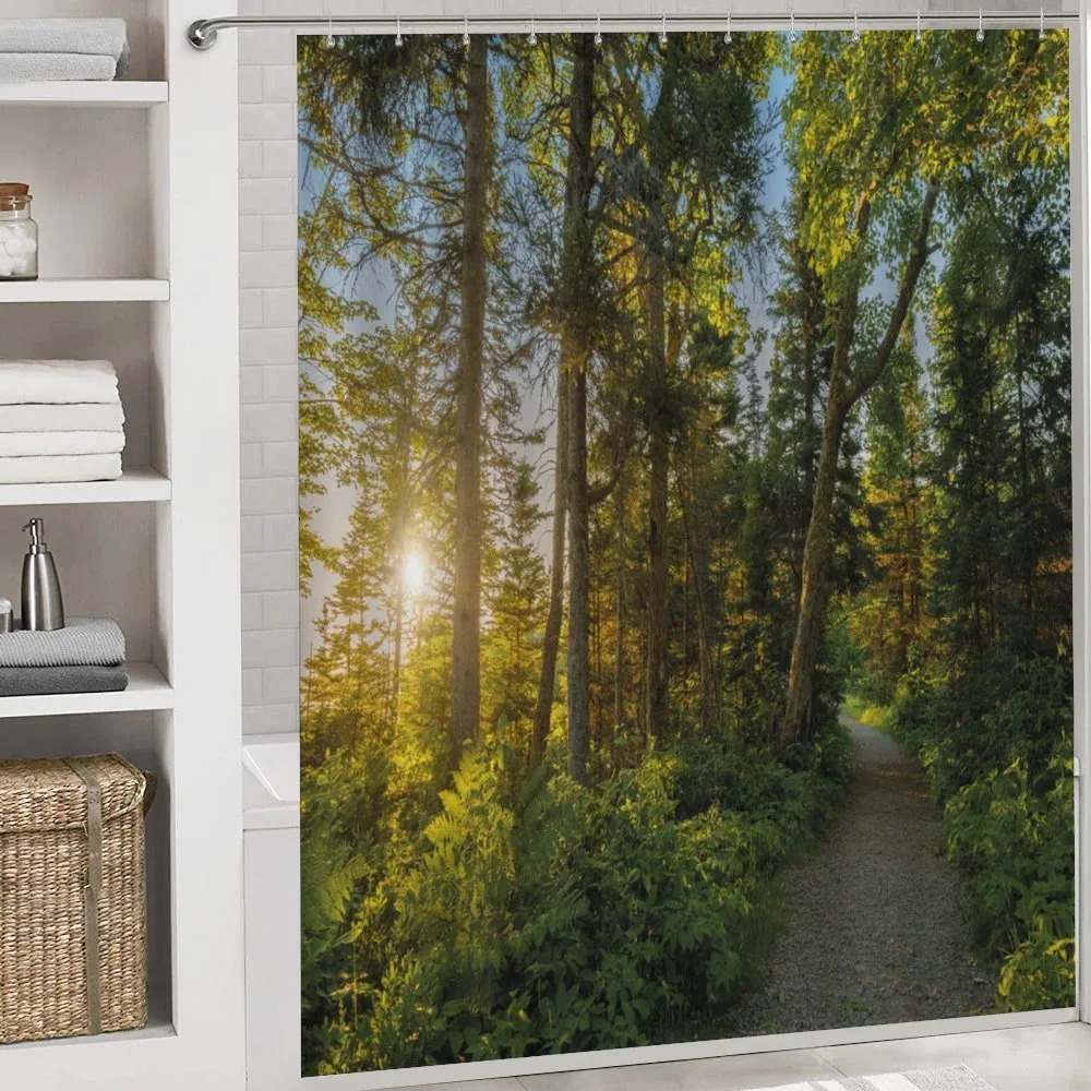 National Park Trees Path — Detail 4