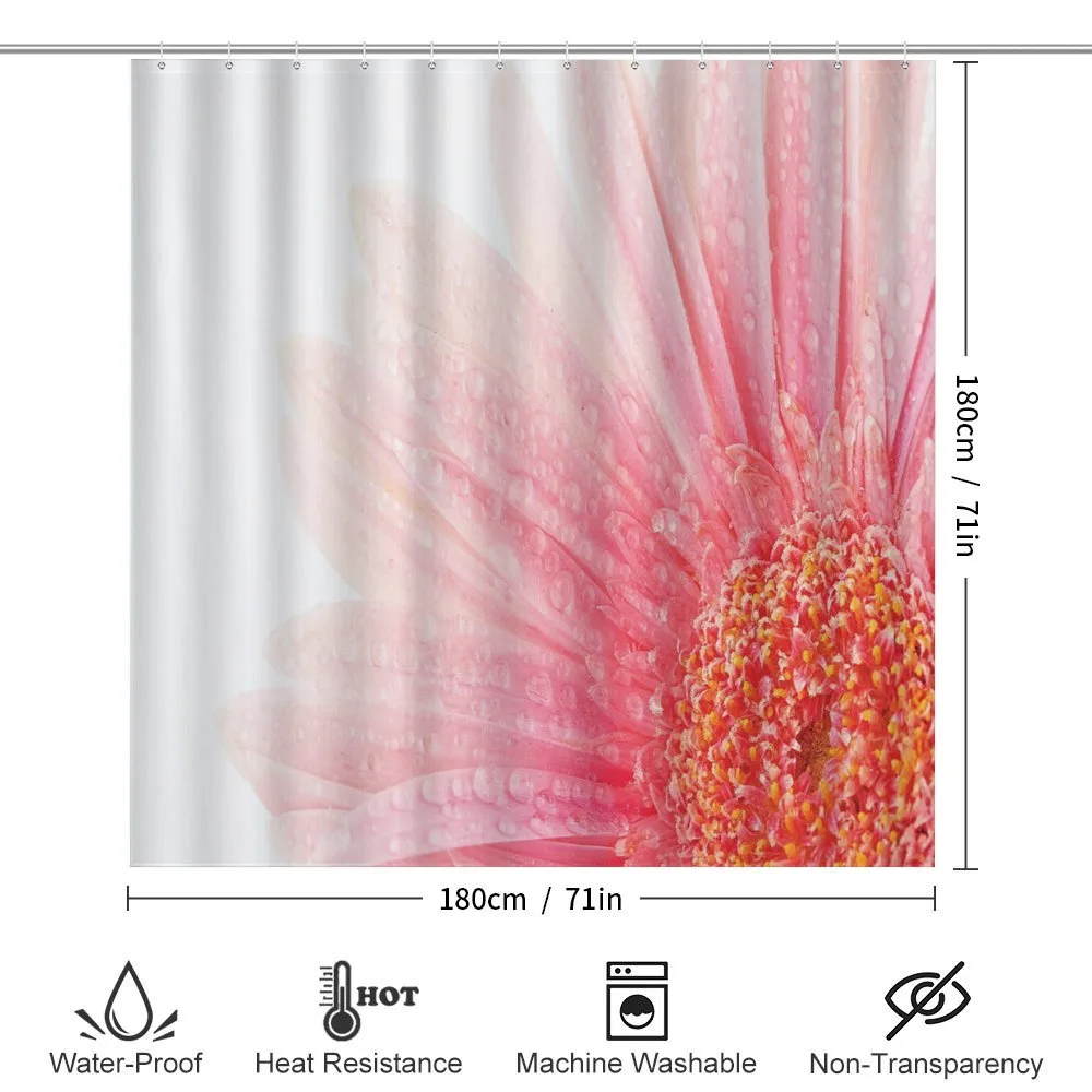 Wet Gerbera — Detail 2