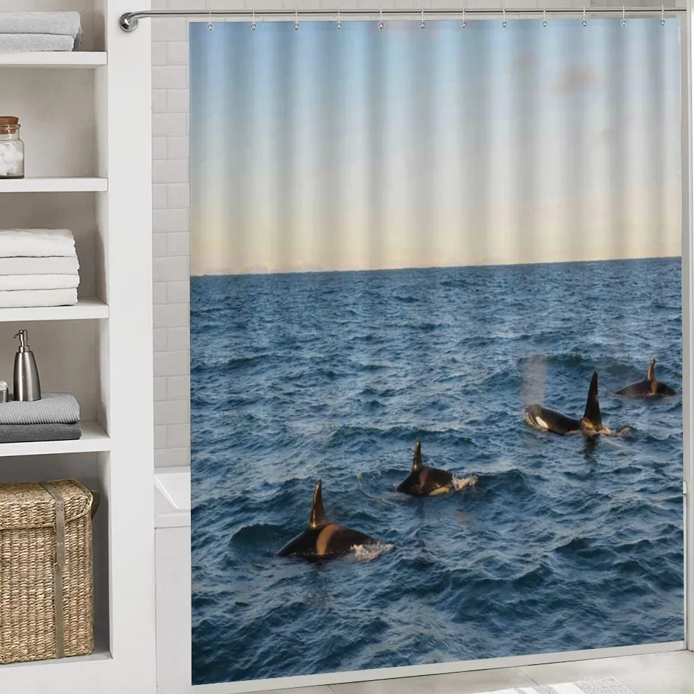 Whales in SeOcean — Detail 4