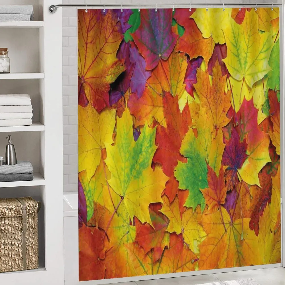 Colorful Maple Leaves — Detail 4