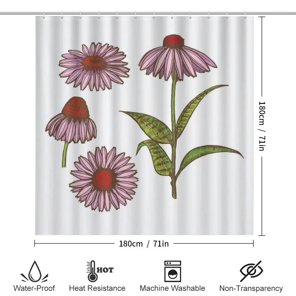 Coneflower Herbs — Detail 2