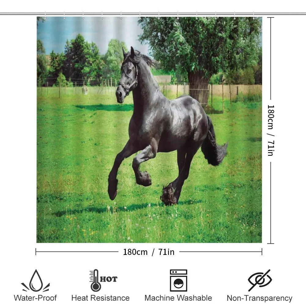 Friesian Horse — Detail 2