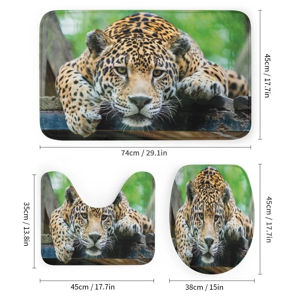 Jaguar Wildcat Feline — Detail 1