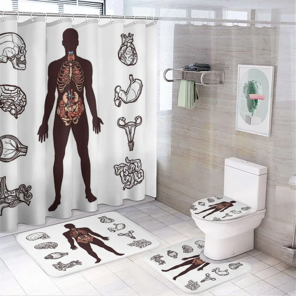 Organs Infographic Image — Your design