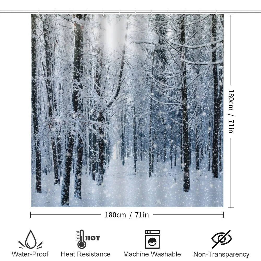 Snow Covered Forest — Detail 2
