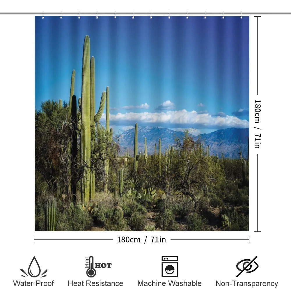Tucson Countryside Cacti — Detail 2