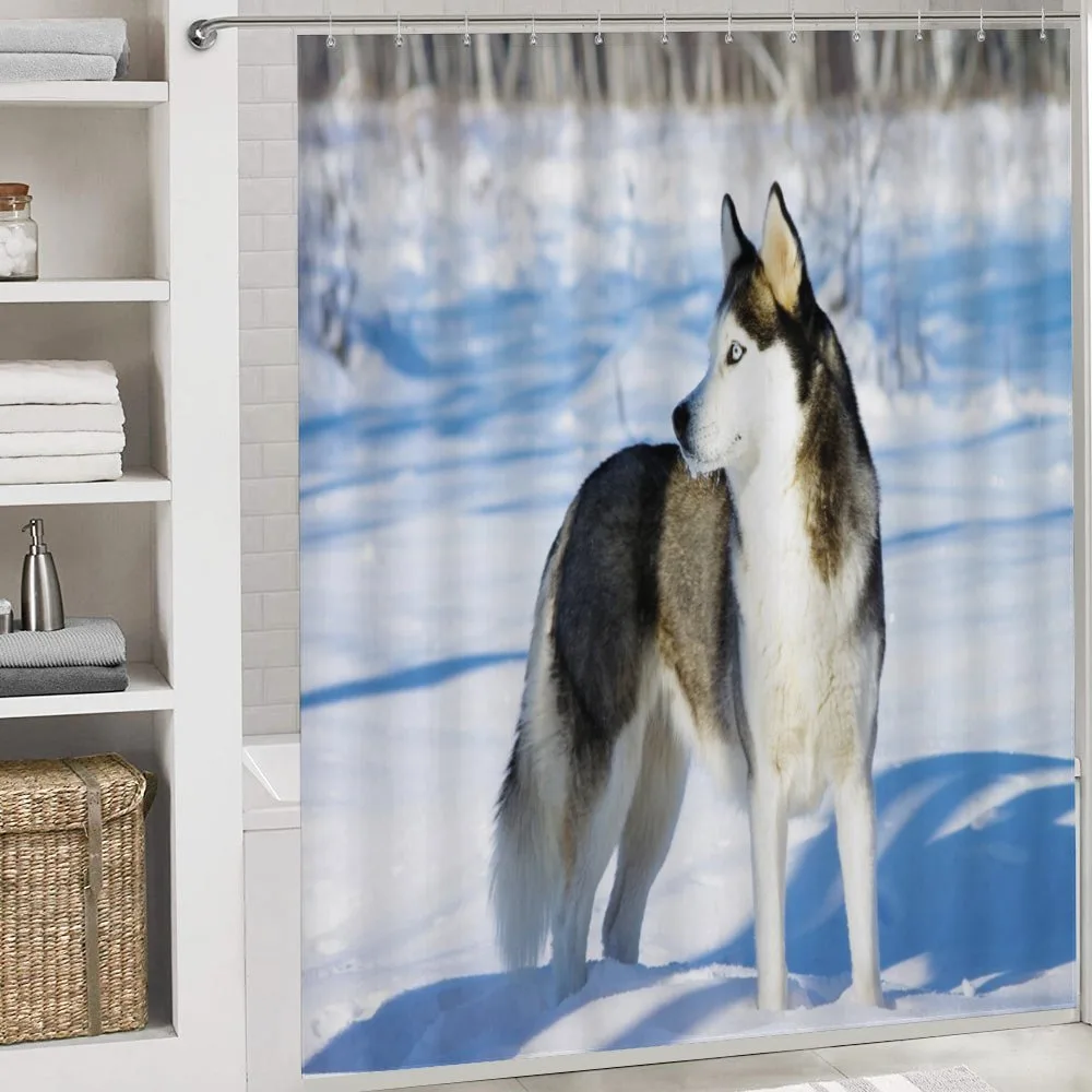 Husky on Snow — Detail 4