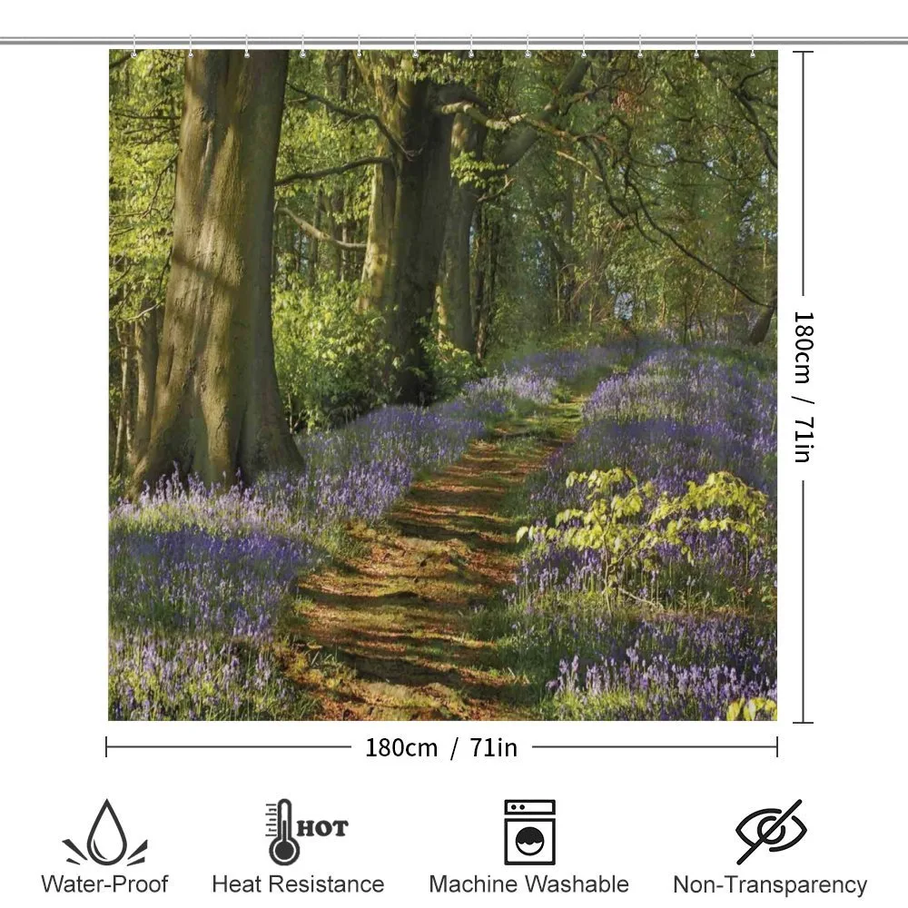 Path Between Bluebells — Detail 2