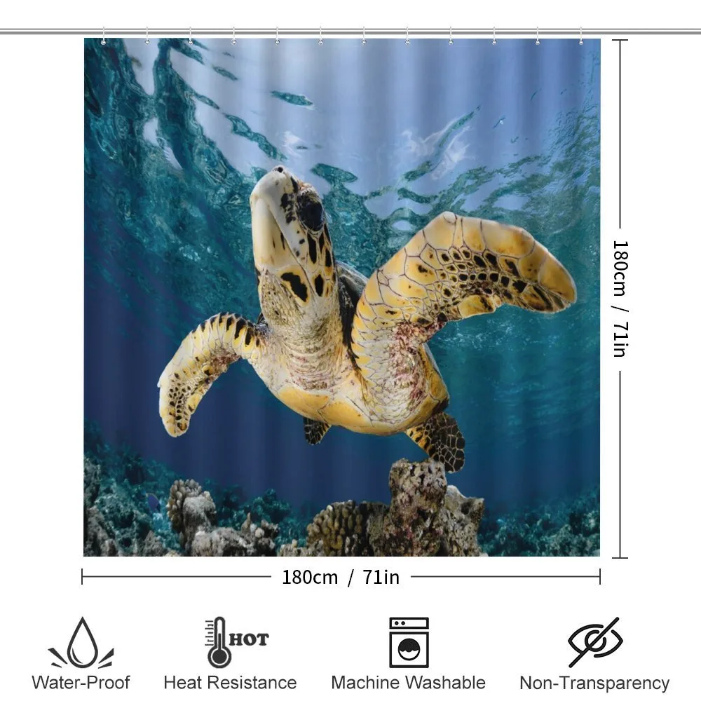 Hawksbill Sea Turtle — Detail 2