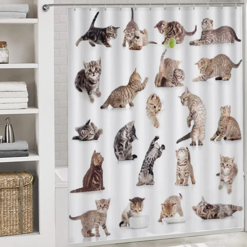 Funny Playful Cats Image — Detail 4