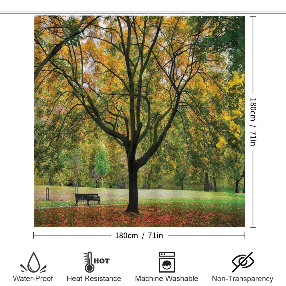 Autumn Park Leaves Nature — Detail 2