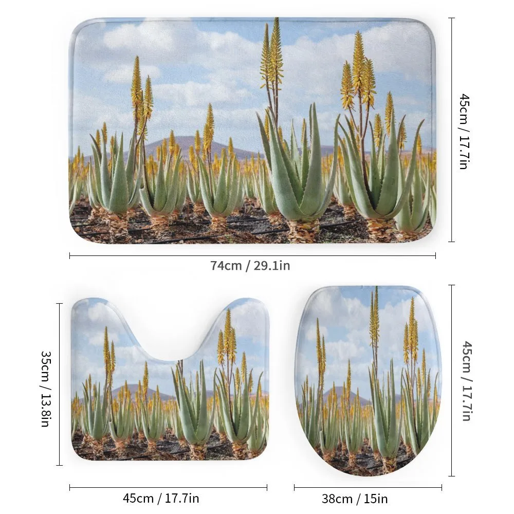 Aloe Vera Plantation — Detail 1