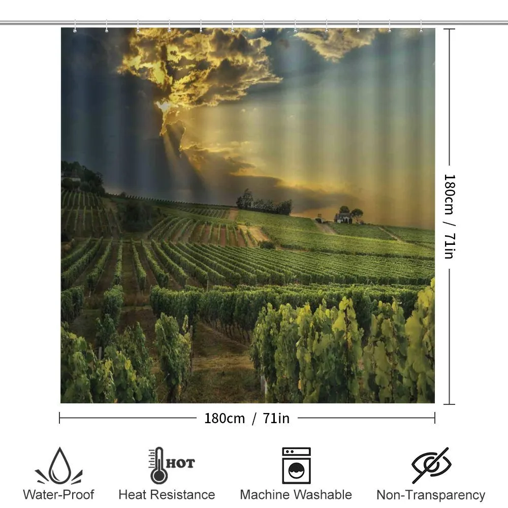 France Sunset Vineyard — Detail 2