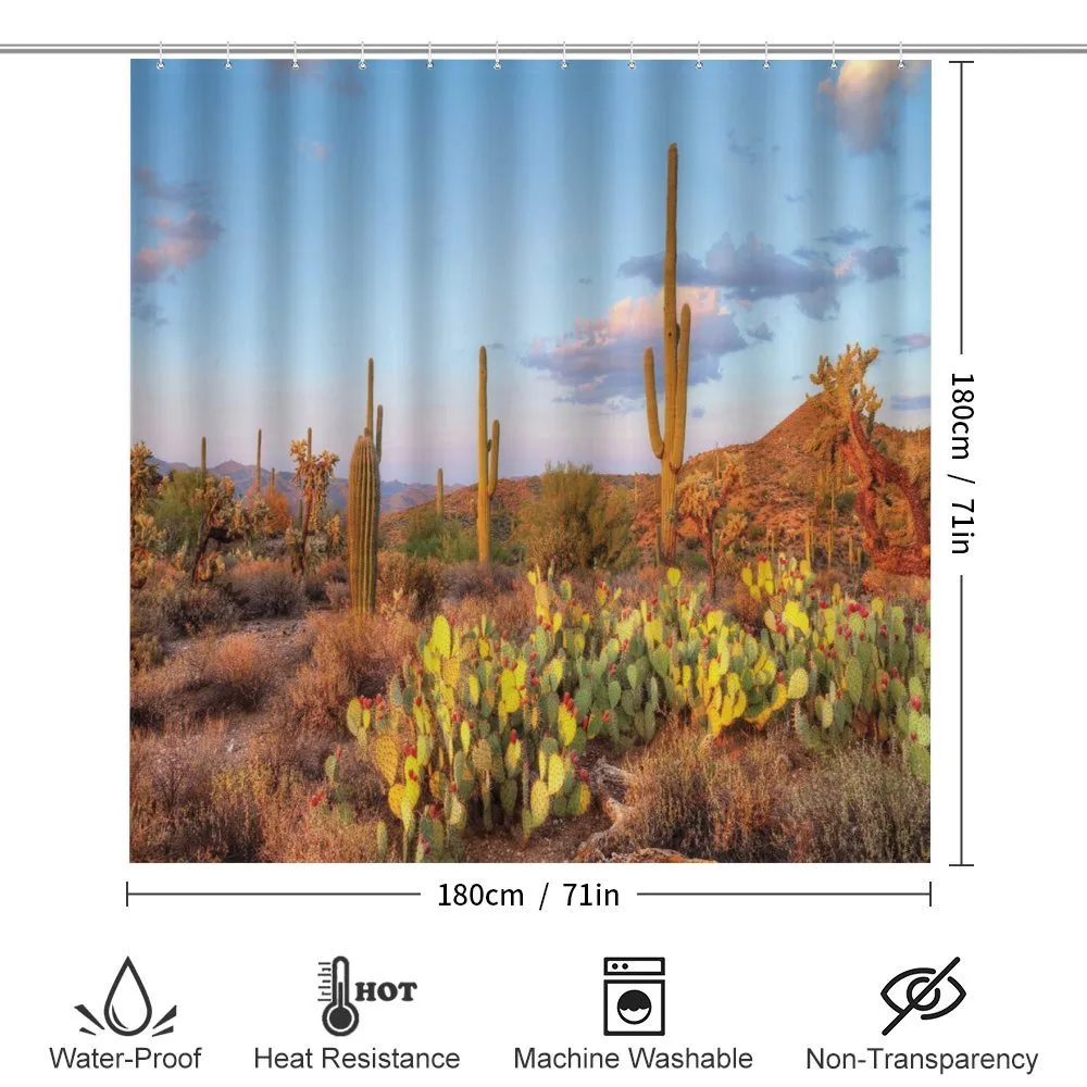Cacti in Sonoran Desert — Detail 2