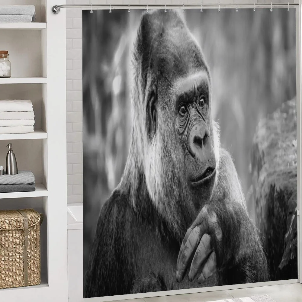 Close up Shot Ape Animal — Detail 4