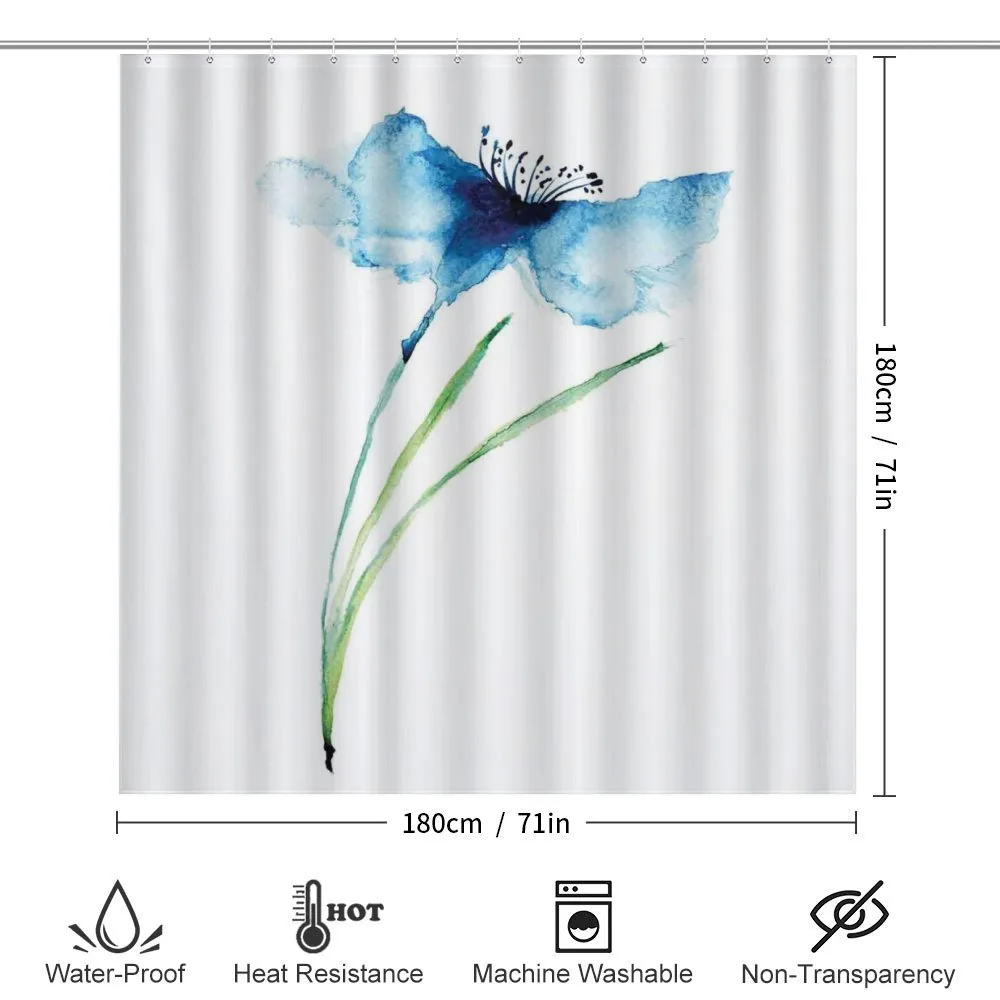 Cornflower Botany — Detail 2