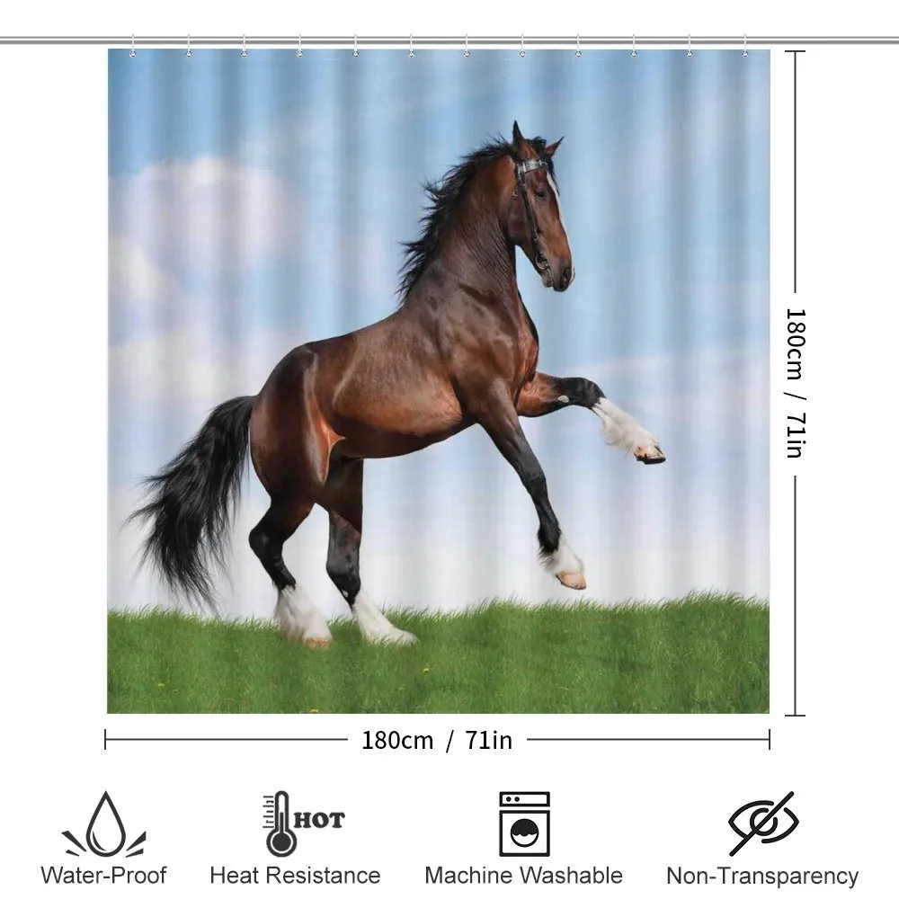 Horse Pacing on Grass — Detail 2