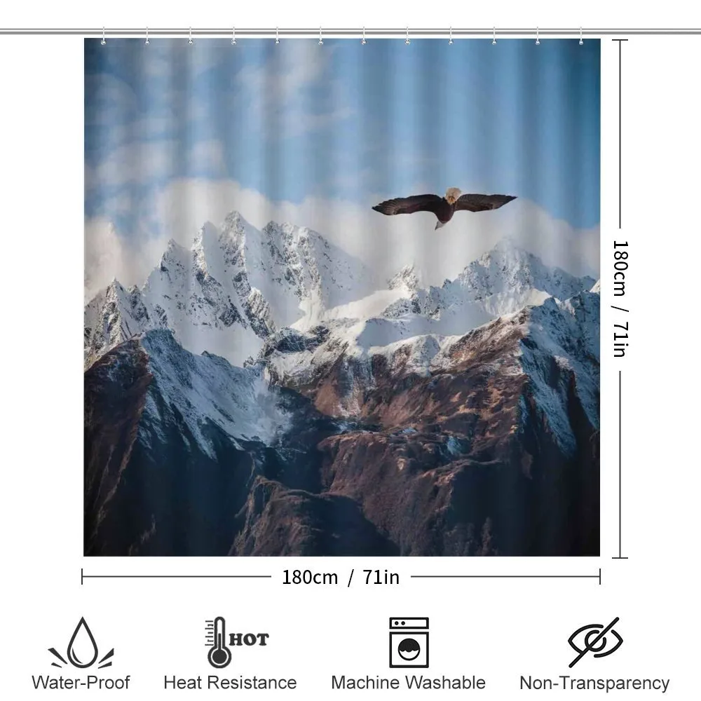 Mountain Flying Eagle — Detail 2