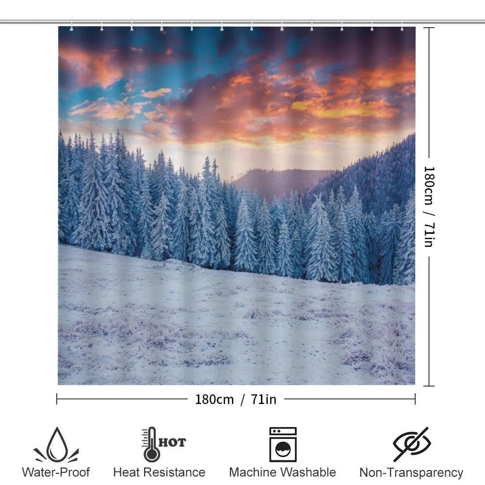 Winter Snowy Forest Sky — Detail 2