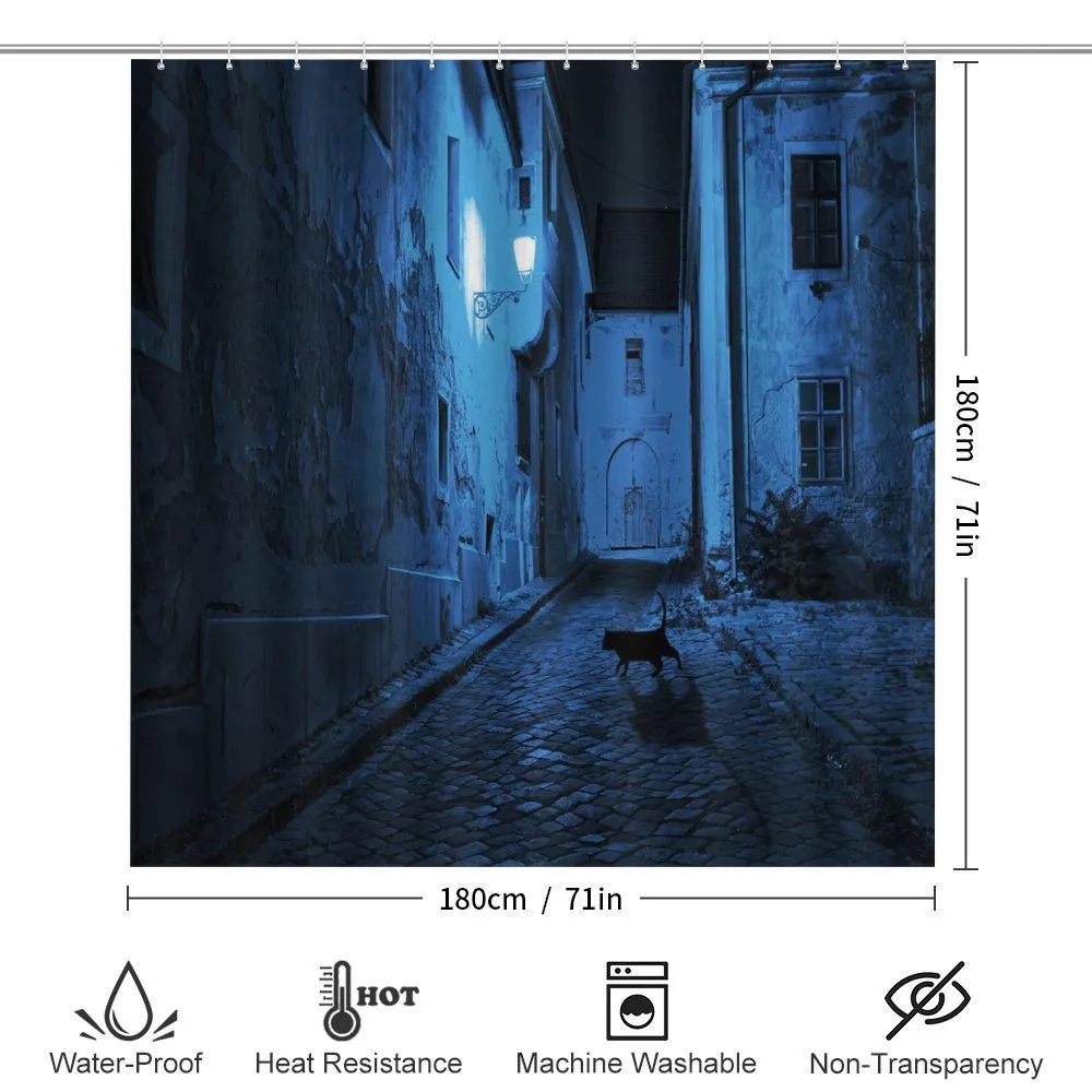 Black Cat Deserted Street — Detail 2