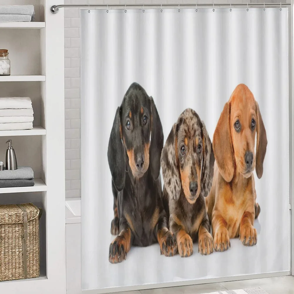 Different Color Dogs Lays — Detail 4