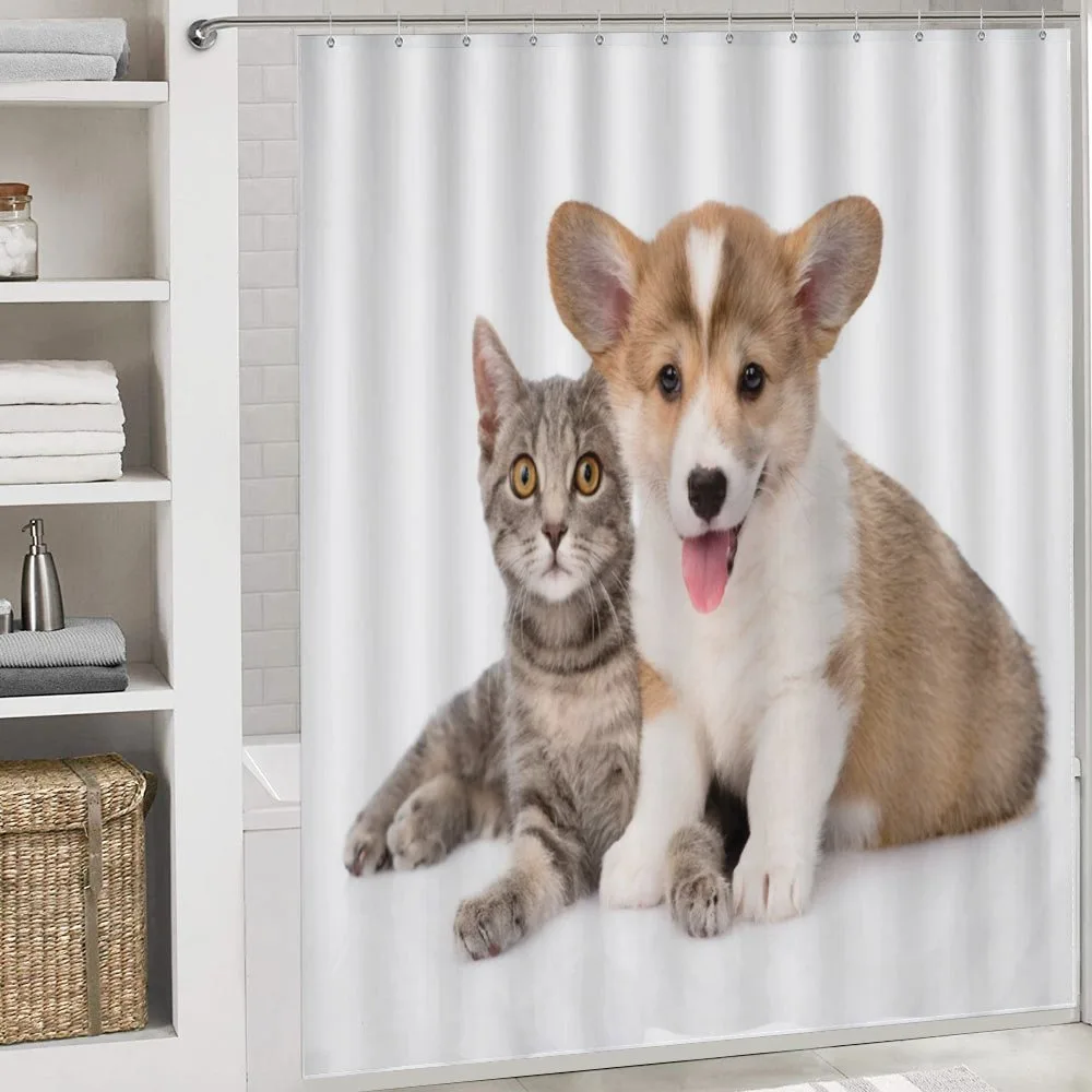 Dog Puppy Kitten Friends — Detail 4