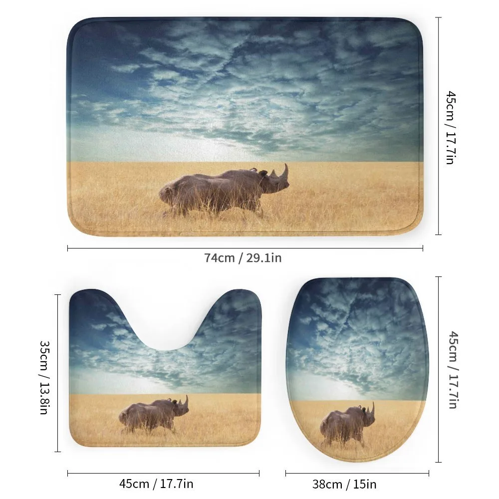 Rhino Dramatic Cloudy Sky — Detail 1