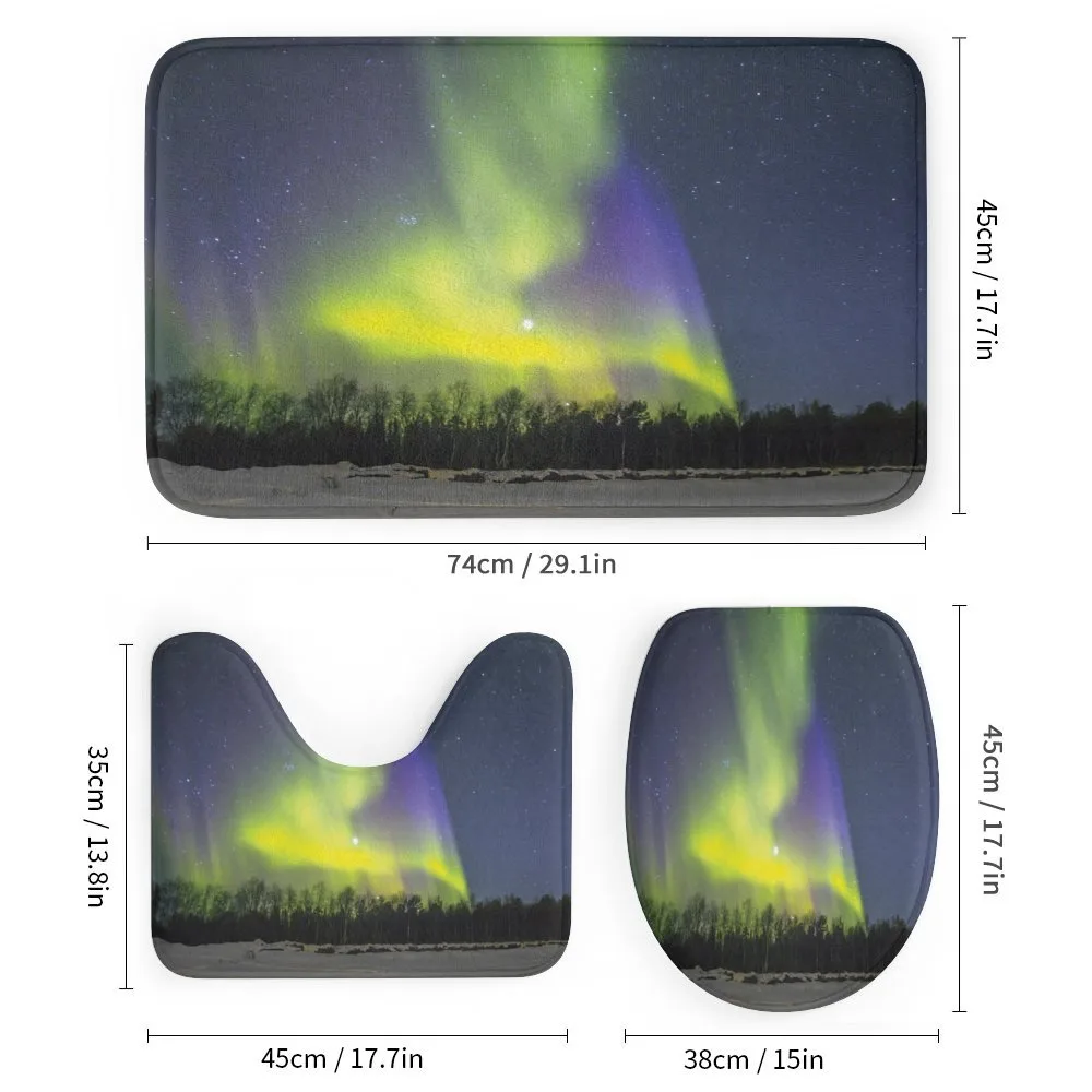 Aurora Borealis Forest — Detail 1