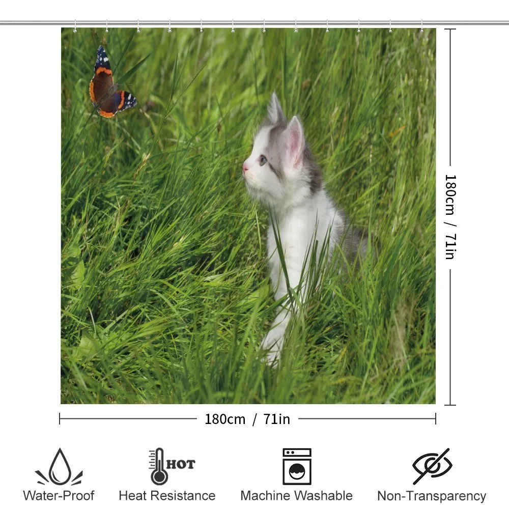Cat and Butterfly — Detail 2