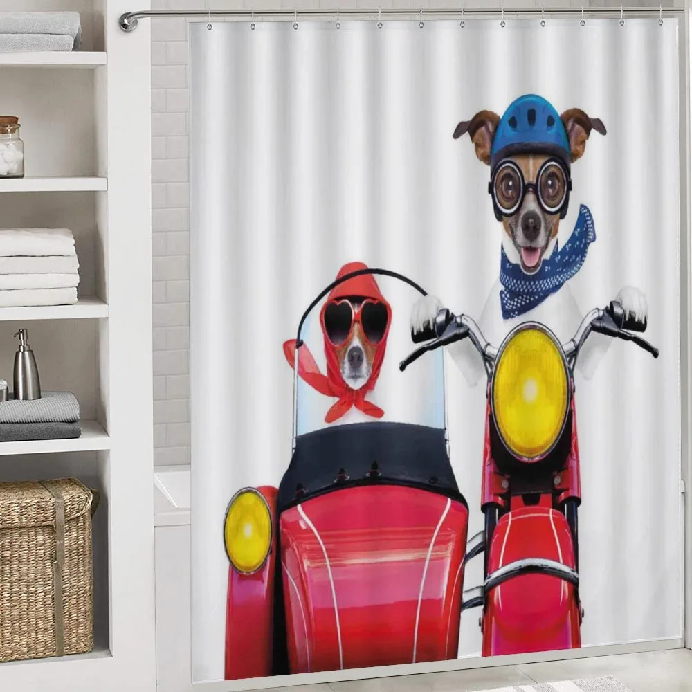 Funny Canine on Bike — Detail 4