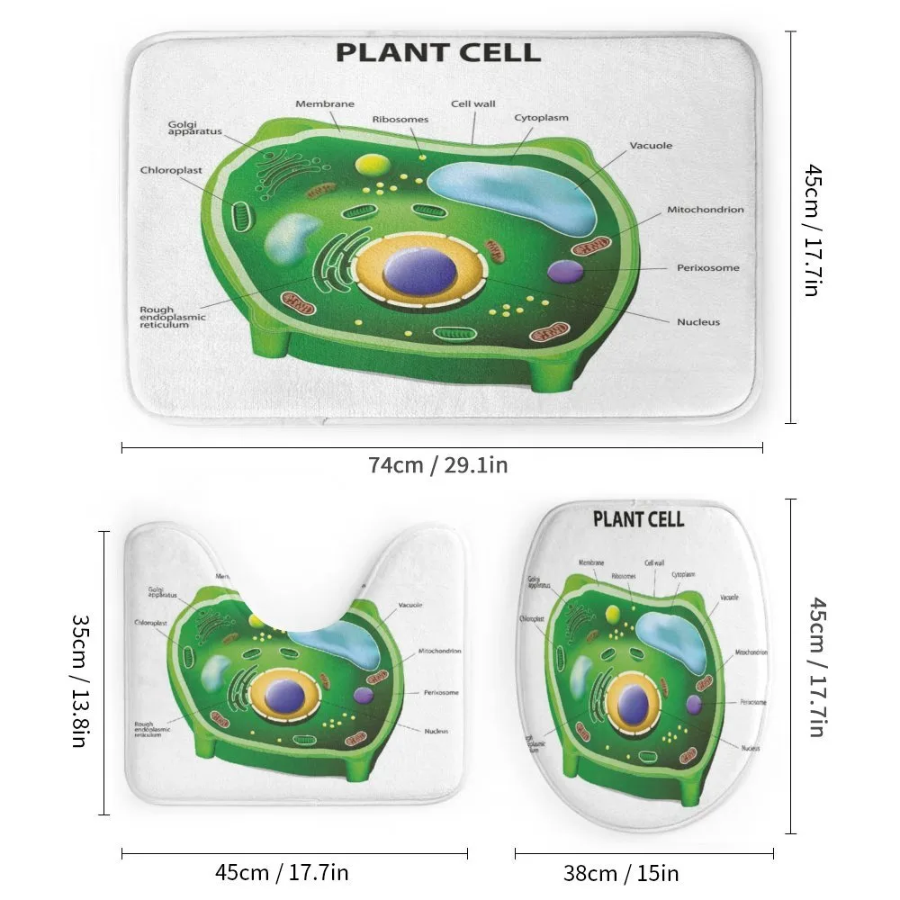 Cell Biology Plant — Detail 1