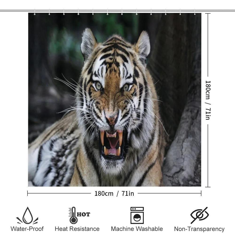 Roaring Tiger Wildlife — Detail 2