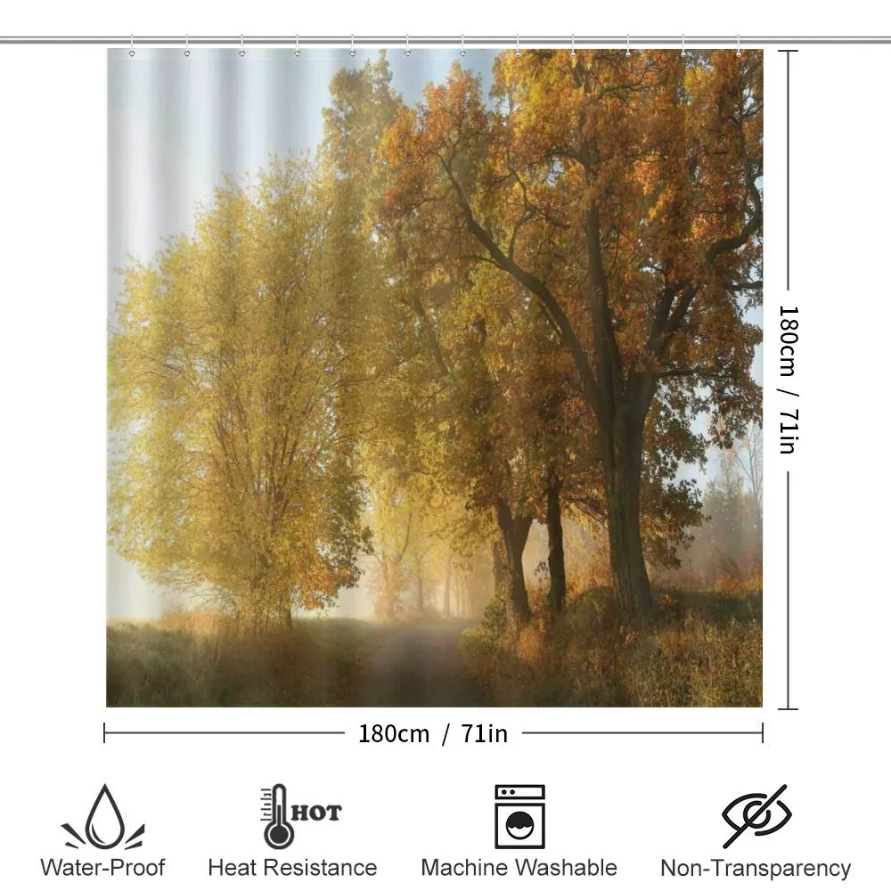 Autumn Morning Scenic — Detail 2
