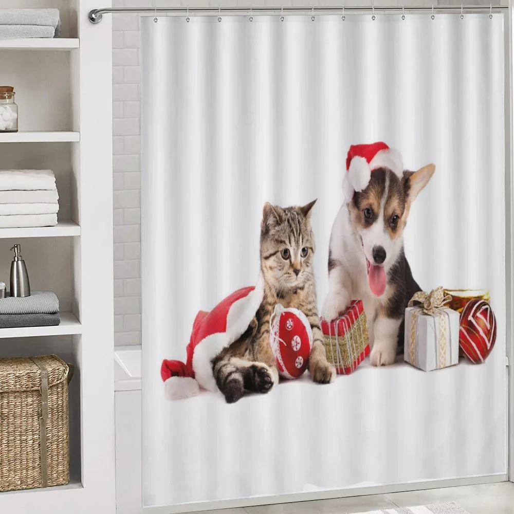 Dog Cat with Presents — Detail 4