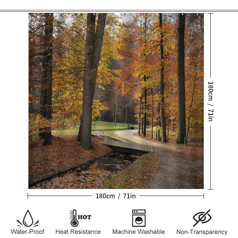 Gloomy Day Forest Path — Detail 2