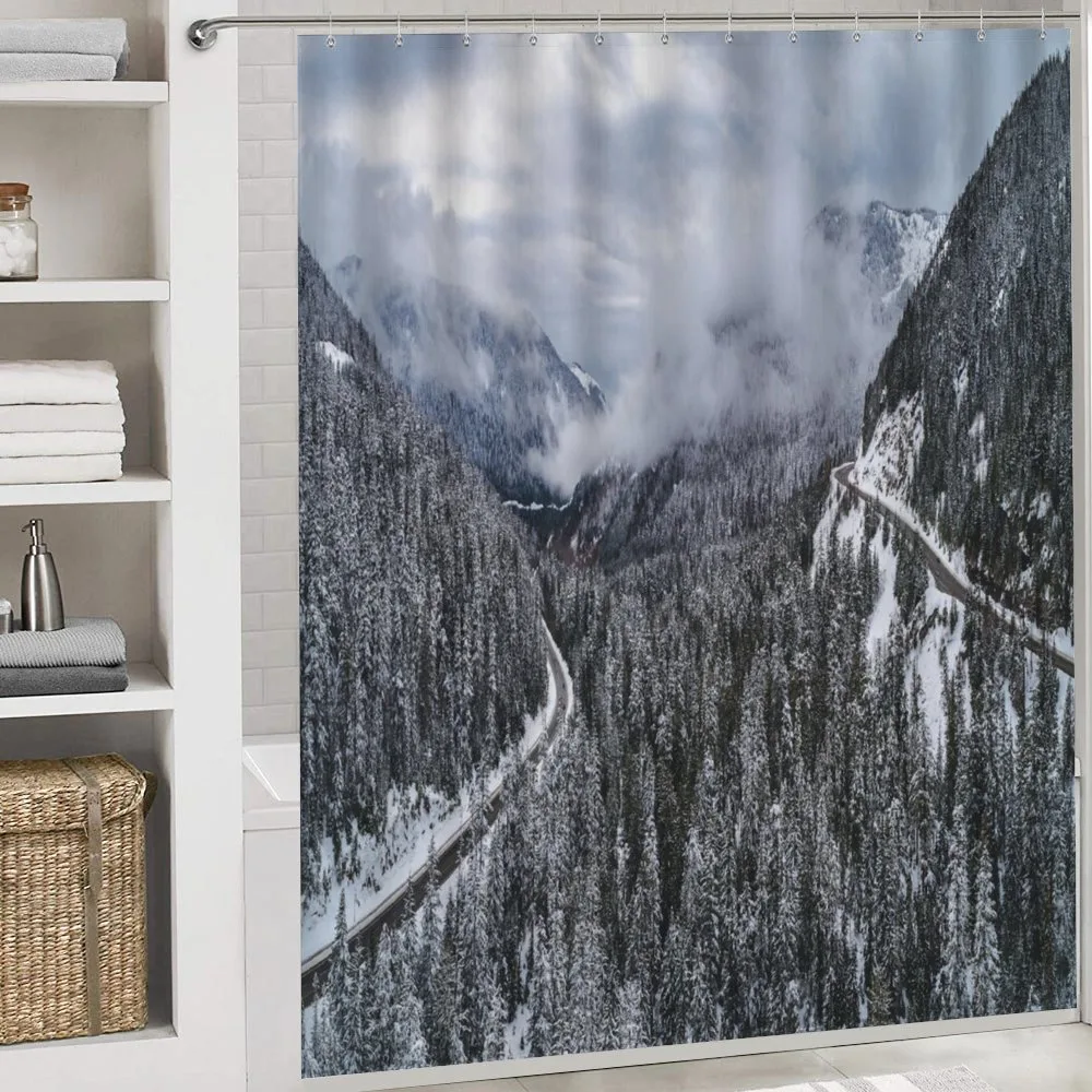 Highway in Winter Forest — Detail 4