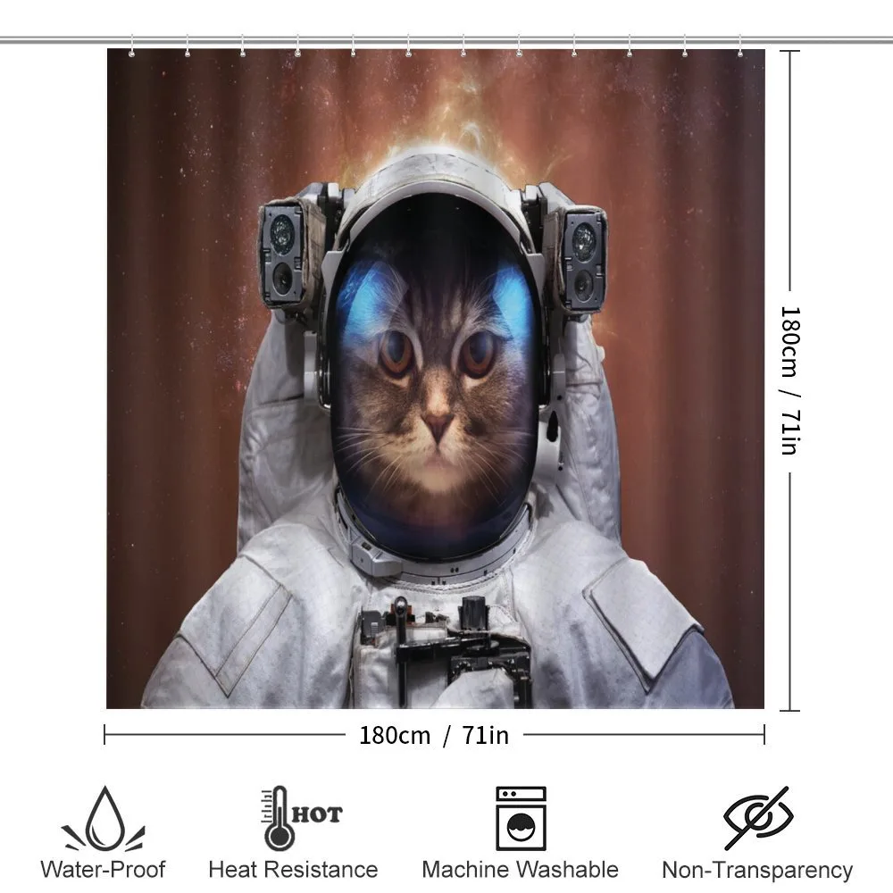 Kitten in Milkyway — Detail 2