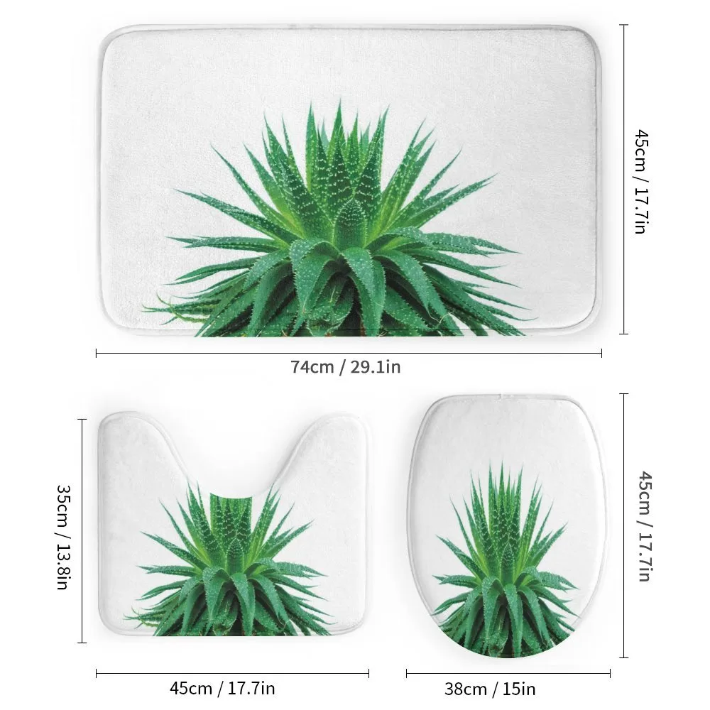 Vibrant Aloe Vera — Detail 1