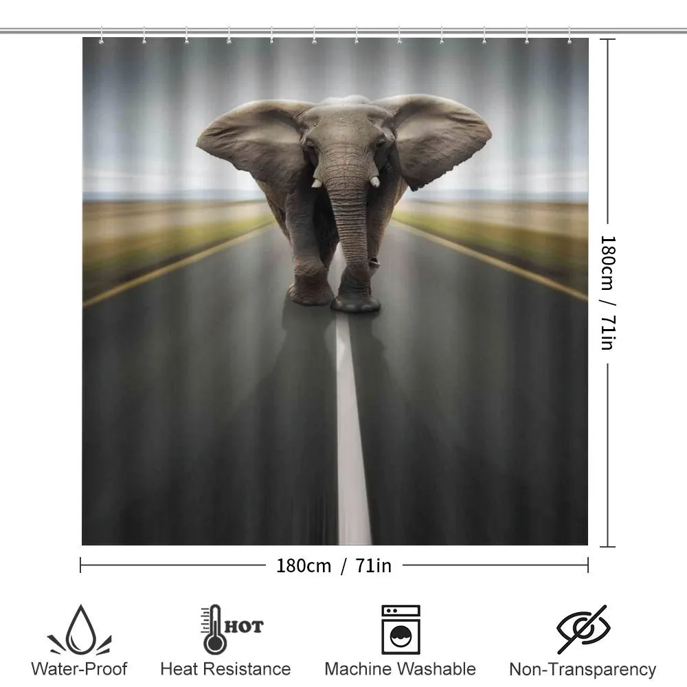 Wild Animal on Highway — Detail 2