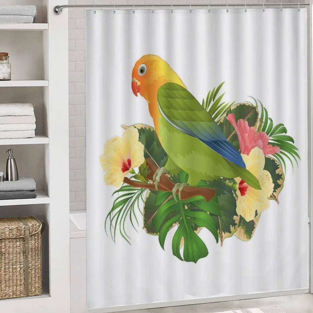 Exotic Agapornis Parrot — Detail 4