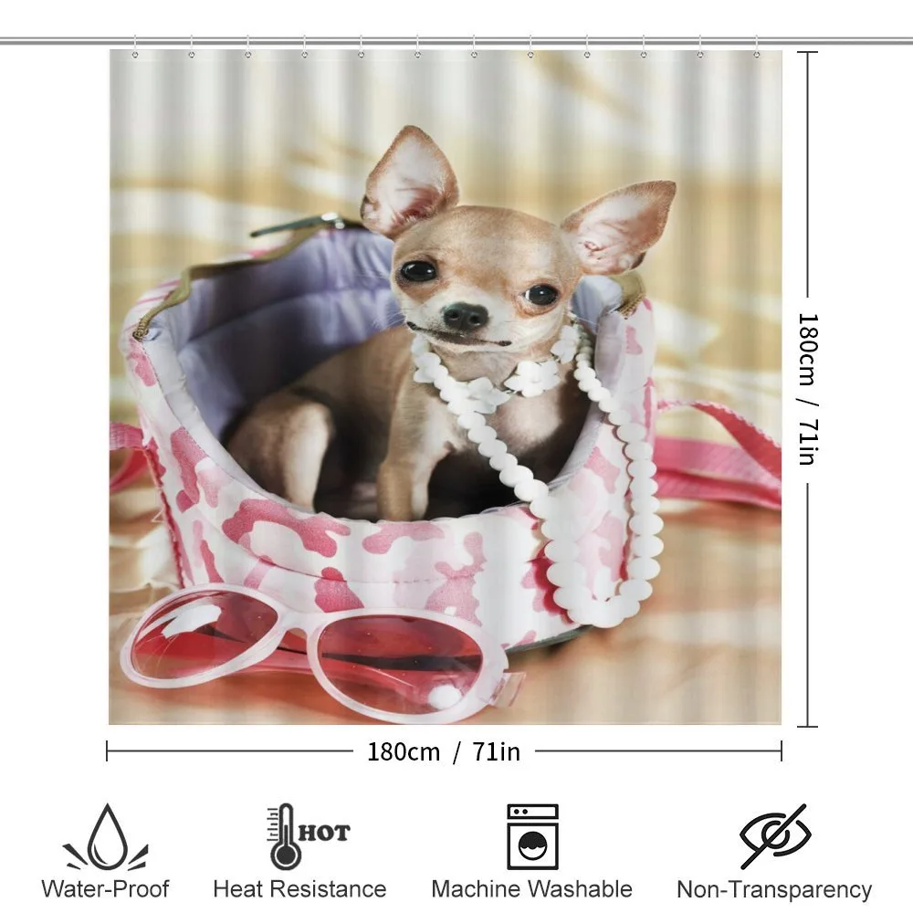 Funny Sassy Fashion Dog — Detail 2