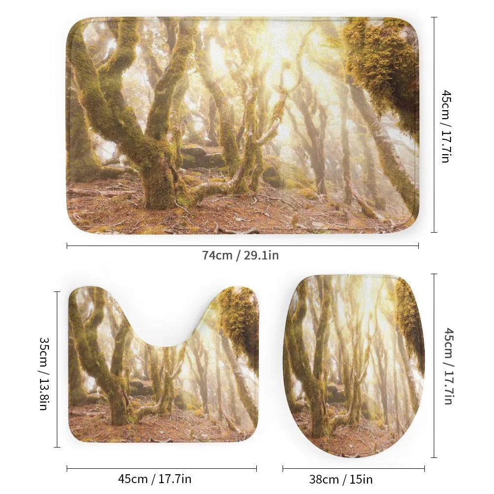 Morning Sun Rays Trees — Detail 1