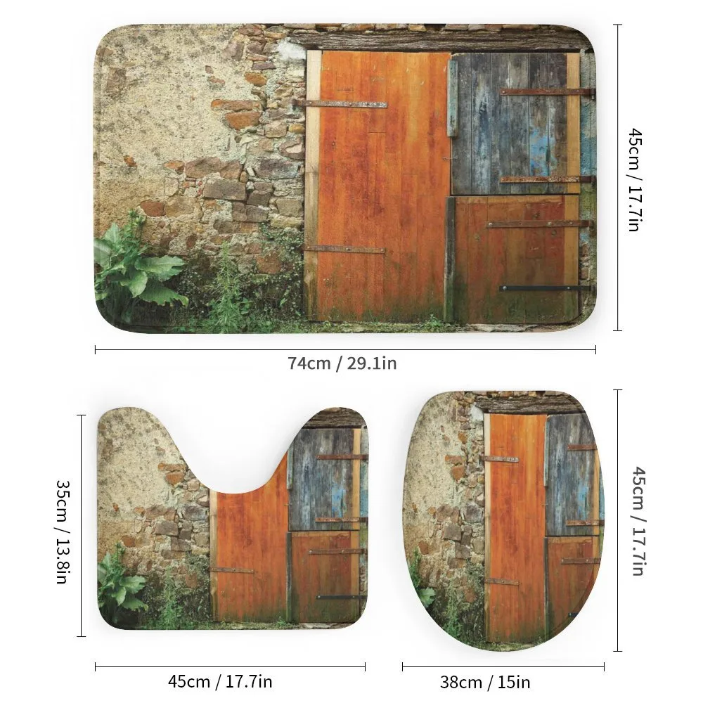 Old French Wooden Door — Detail 1