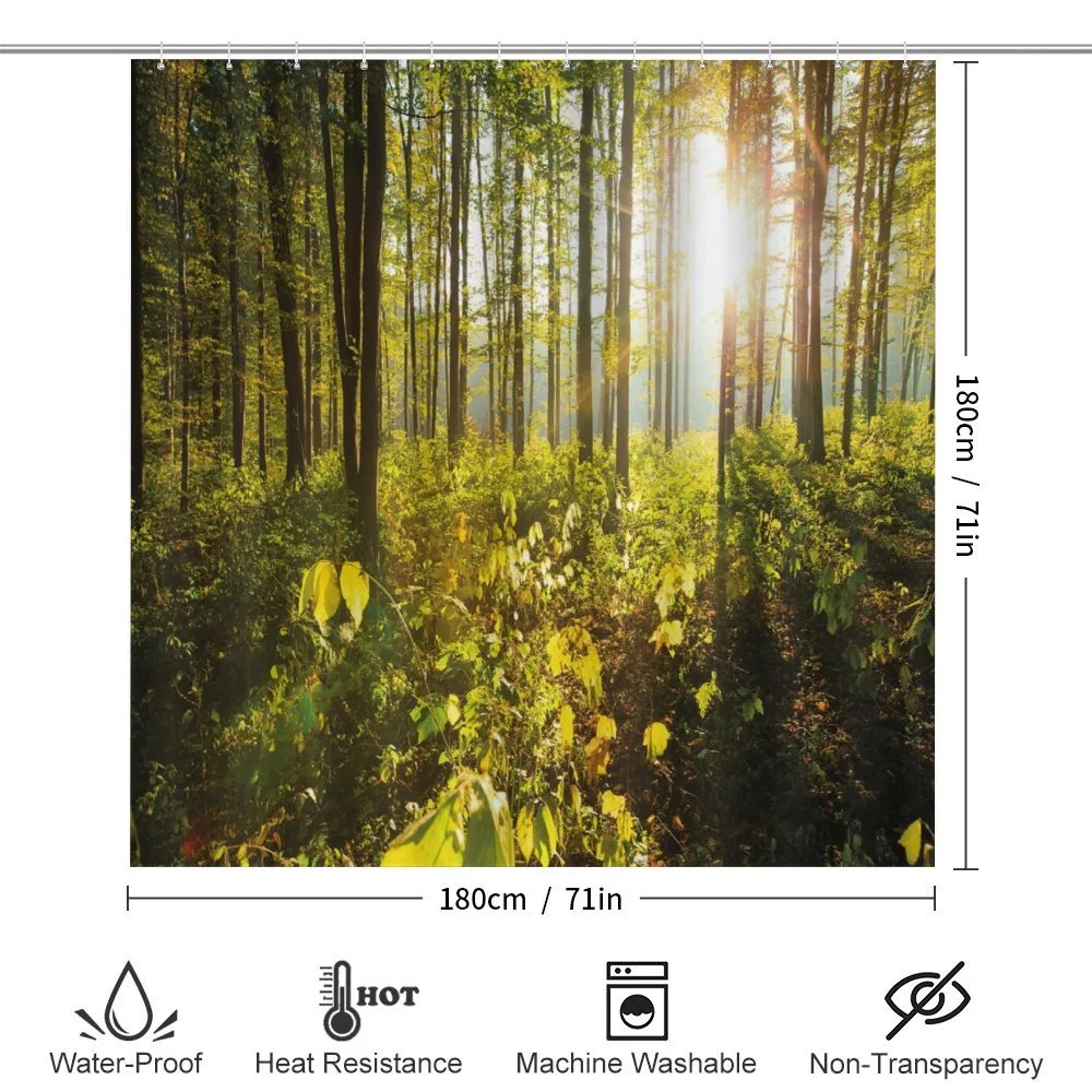 Sun Rays Woods Foliage — Detail 2