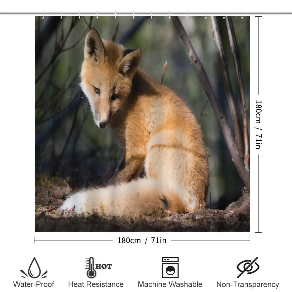 Young Coyote in Forest Sunrays — Detail 2